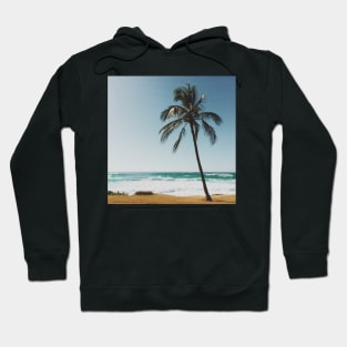 Palm tree by the Beach Hoodie